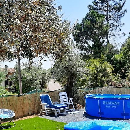 Adore Portugal Bungalow Natureza & Vista De Serra 로우사 외부 사진