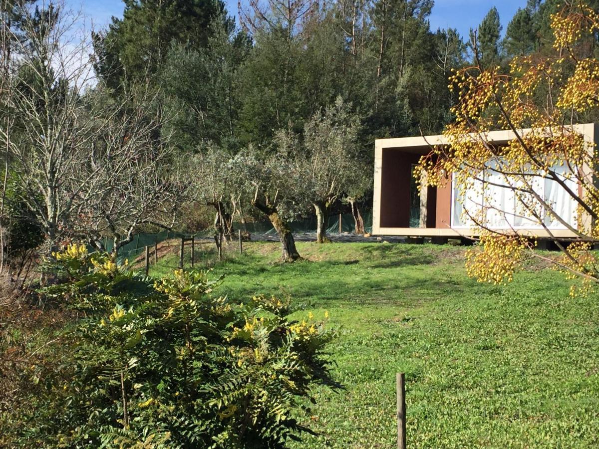 Adore Portugal Bungalow Natureza & Vista De Serra 로우사 외부 사진